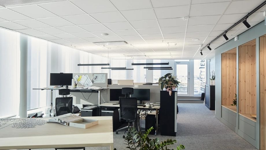 Tấm trần tiêu âm Ecophon Focus Lp