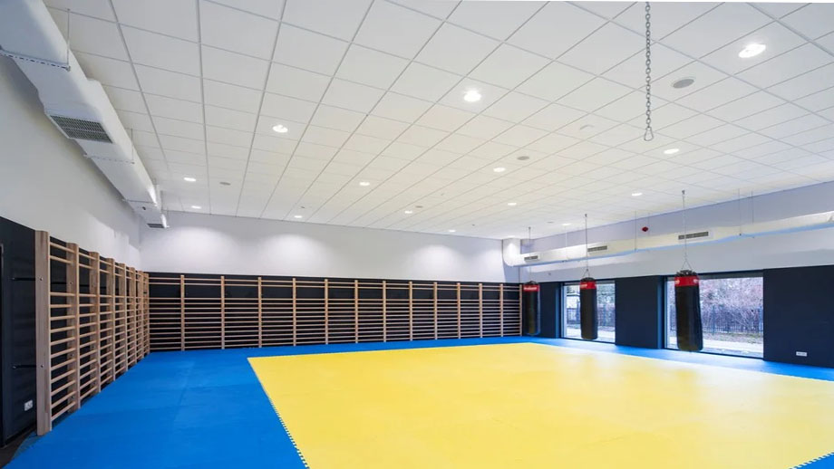 Tấm trần tiêu âm Ecophon Combison Duo A cao cấp