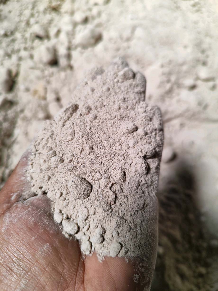 Hướng dẫn sử dụng bột thạch cao cải tạo đất chua mặn